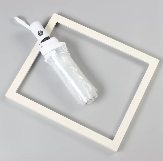 Transparent umbrella