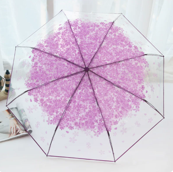 Colorful Stylish Transparent Umbrella